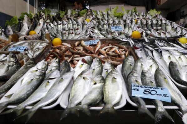 'Denizlerin prensi' lüferin kilosu 100 liraya düştü