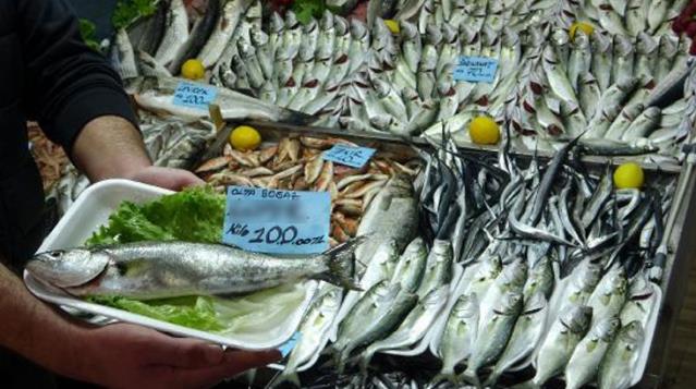 'Denizlerin prensi' lüferin kilosu 100 liraya düştü