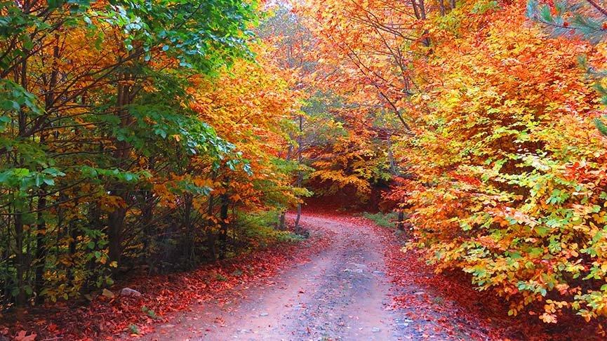 Kaz Dağları'nda sonbahar bir başka güzel