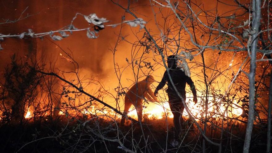 Sakarya İl Ormanı'nda korkutan yangın