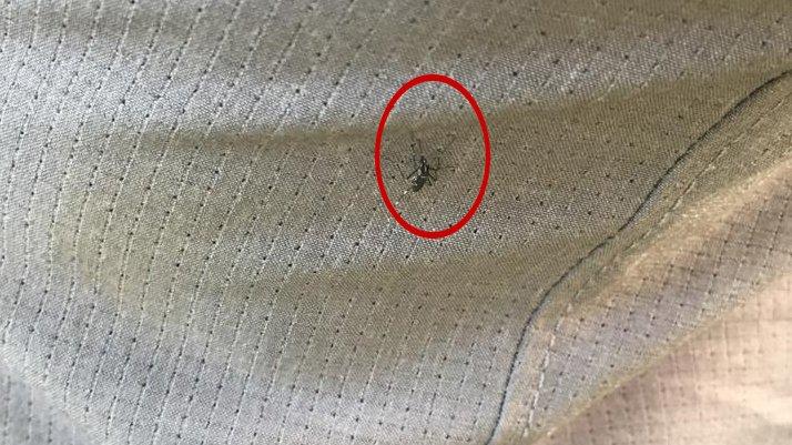 Uzmanlar kuraklıkla beklenen büyük tehlikeyi açıkladı