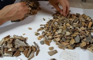 Fransa’da arkeolojik kazıdan 41 bin yıllık Neandertal kalıntısı çıktı