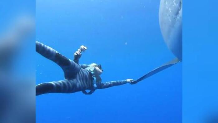 60127665c8c3730c28c28550