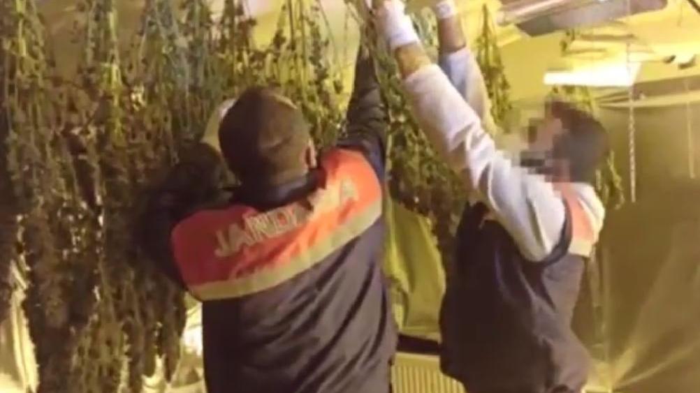 Yüklü miktarda faturalar uyuşturucu serasını ele verdi