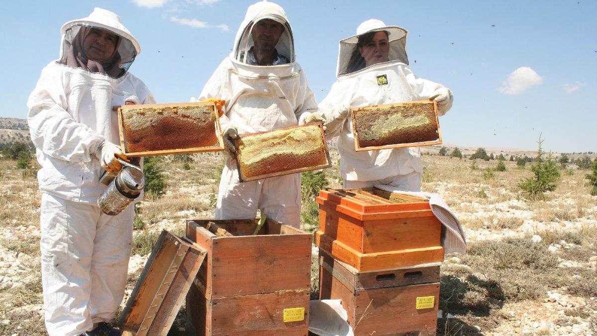 Uzmanlardan 'sahte bal' uyarısı