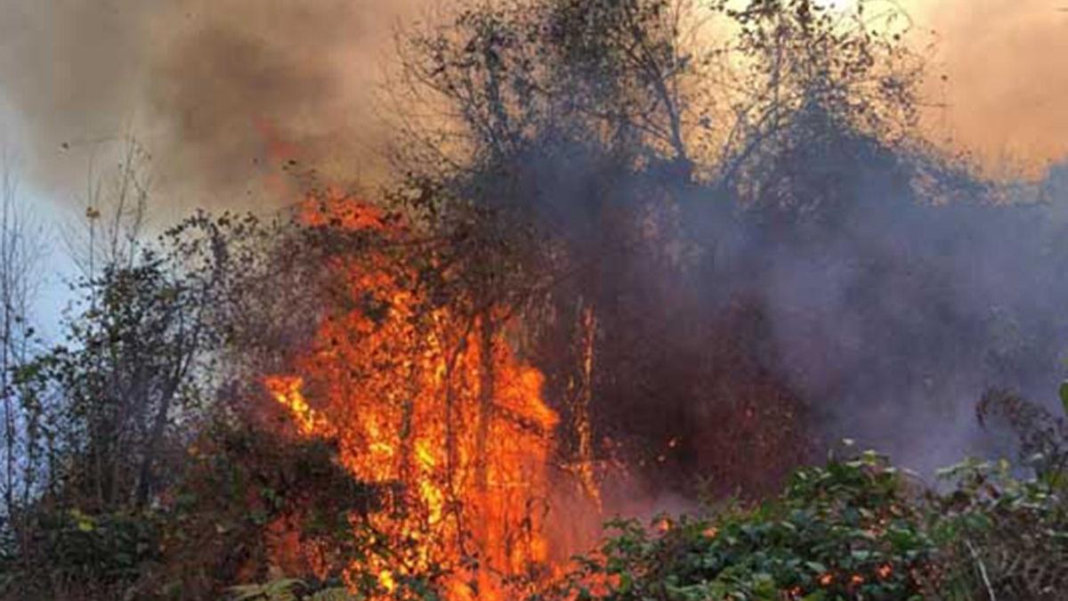 4 ilde, 23 noktada yangın