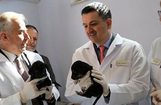 Bakan Pakdemirli: Pet shop'larda bundan sonra kedi köpek satılmayacak