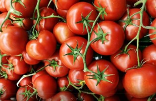 Rusya, Türkiye'den aldığı domates kotasını artırdı