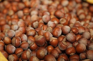 Bakan Pakdemirli: TMO'nun fındık alım süresini 30 Nisan 2021'e kadar uzattık