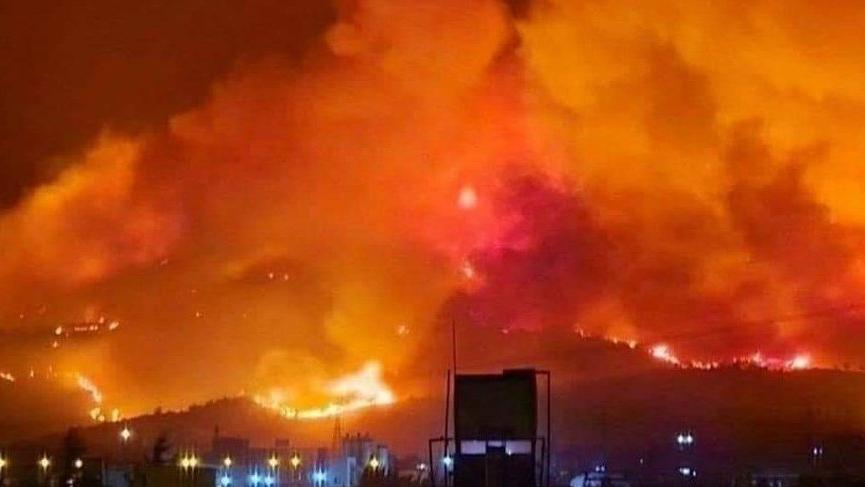 Hatay'daki yangınla ilgili açıklama: Normal bir yangın değil