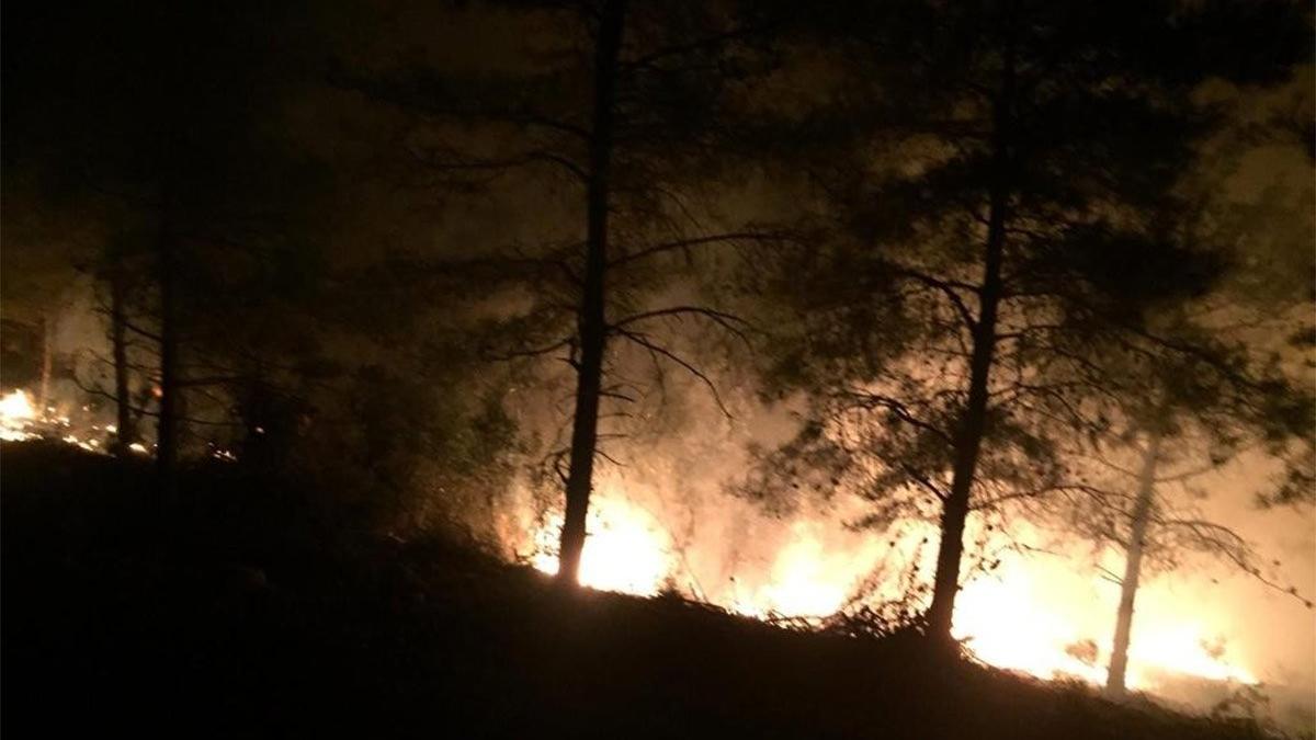 Hatay'da bir orman yangını daha
