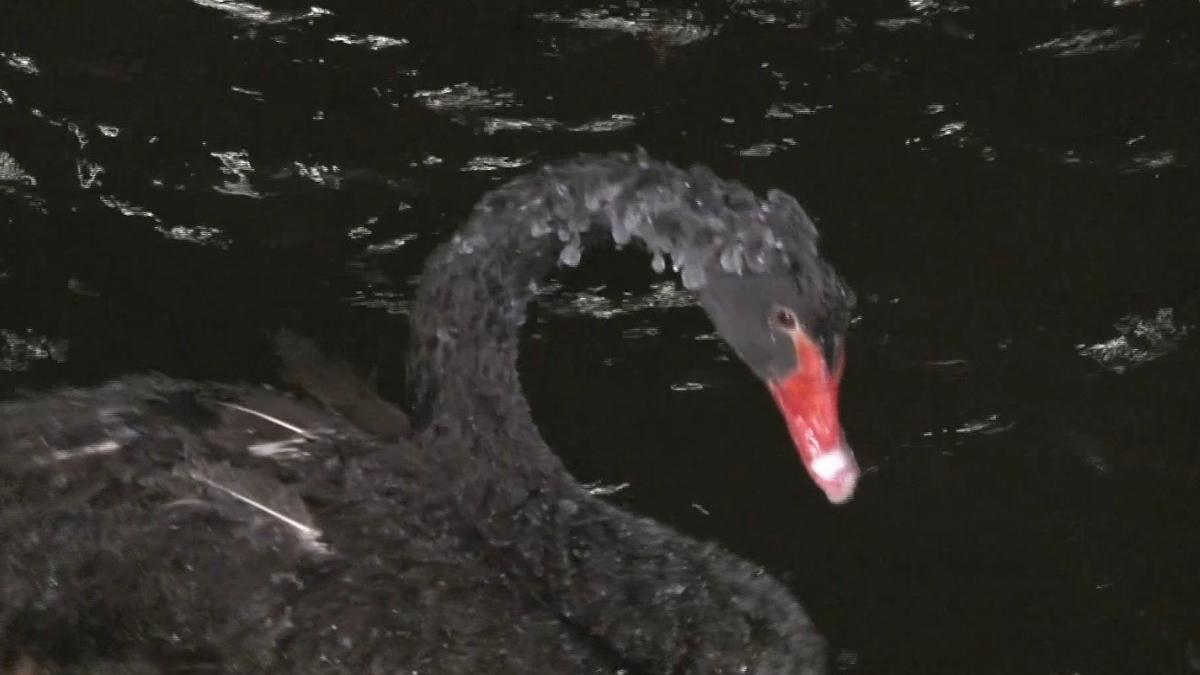 Ankara buz tuttu, hava sıcaklığı -17 dereceye kadar düştü