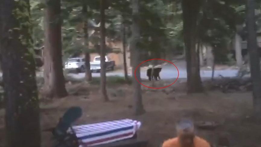 Aracına hırsız girdi zanneden adam büyük şok yaşadı!