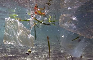 AB plastik atık ihracatını sınırlandırdı