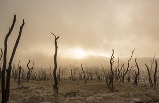 BM'den küresel iklim anketi: Dünya nüfusunun yüzde 64'ü 'acil sorun' diyor