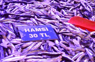 Hamsi Trabzon'da bile 30 liraya kadar çıktı: Bu saatten sonra fiyat düşmez
