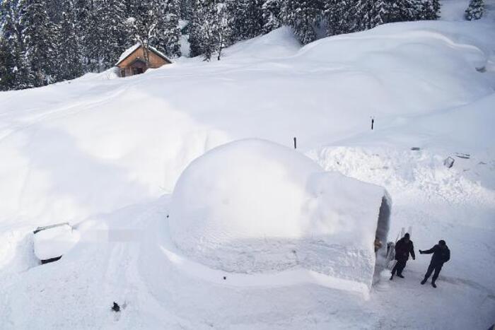 6013d0e8c8c3731728f1add3