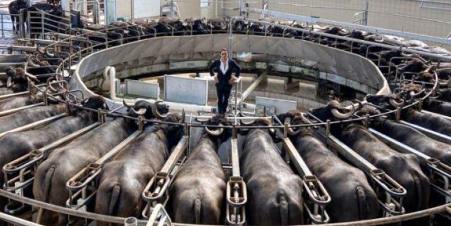 Koca pirzolayı şapur şupur yediği anları paylaşan Nusret Gökçe'ye tepki yağdı