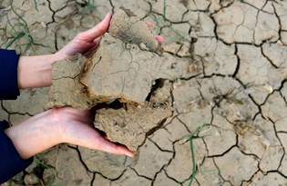 Adana'da son 92 yılın en kurak kışı yaşanıyor