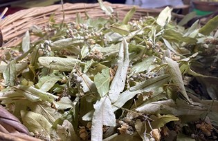 Havalar soğudu, ıhlamurun fiyatı uçtu