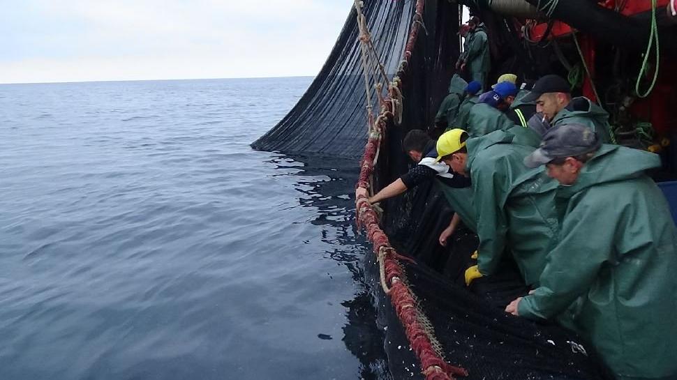 Karadeniz'de bir ilk; balıklar tersine göçe başladı