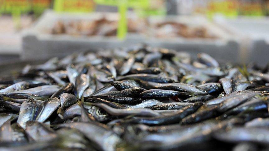 Soğuk hava balık fiyatlarına yansıdı