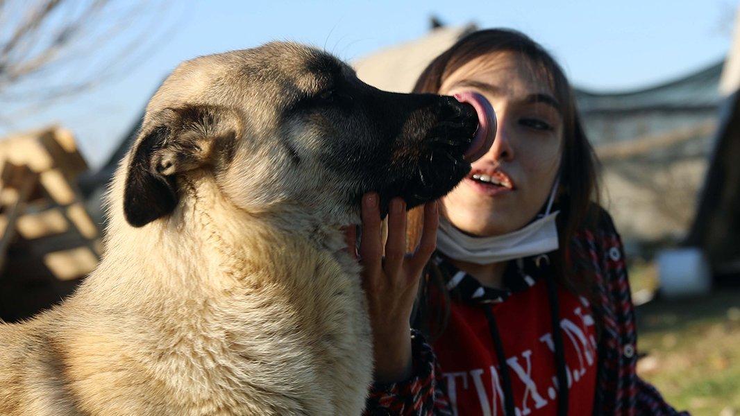 Engeline rağmen, kırsal bölgelerdeki hayvanları besliyor