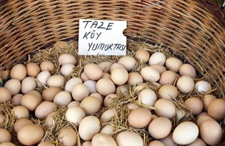 Yumurtanın fiyatı 50 liraya gidiyor
