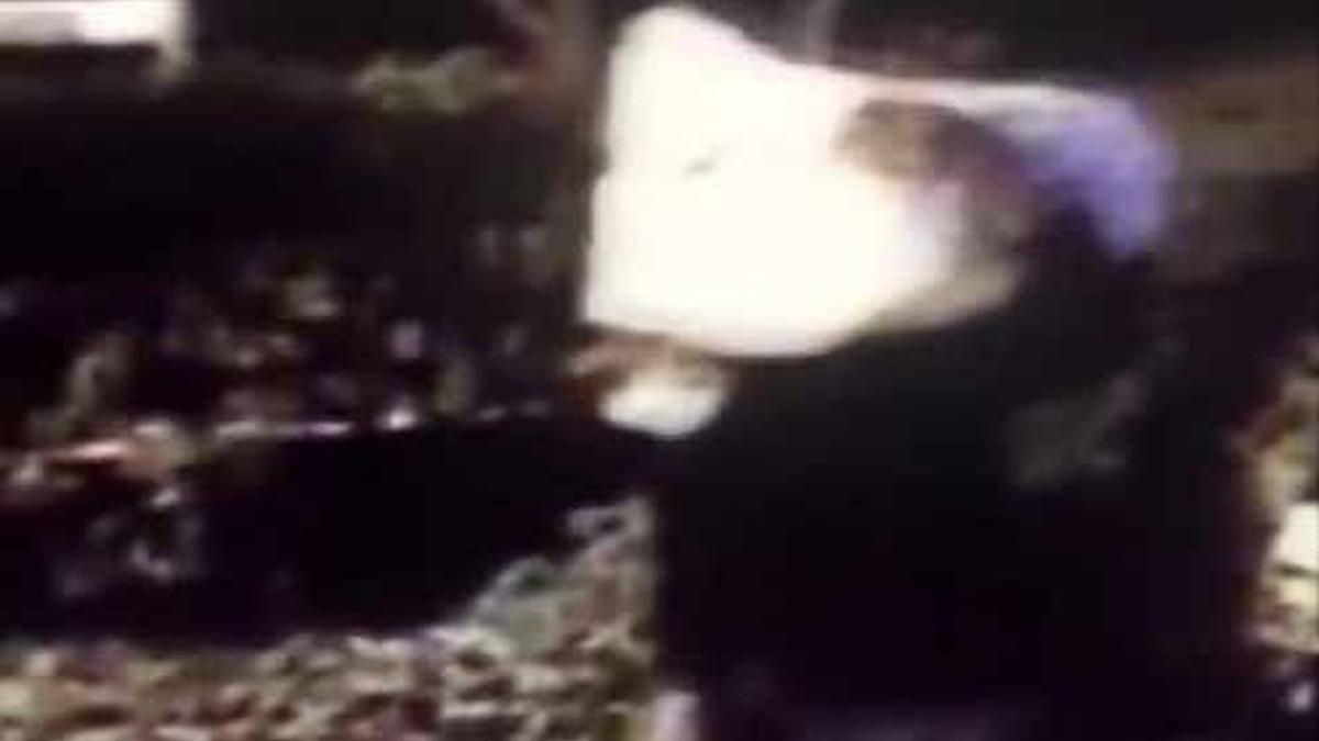 İstanbul'da pes dedirten hırsızlık: Kardan adamı çaldılar