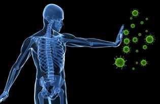 Propolis nedir? Propolis nasıl kullanılır? (Propolis bağışıklık sistemini güçlendiriyor)