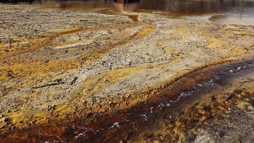 Türkiye'de altın için her yıl 4 bin 500 ton siyanür kullanılıyor