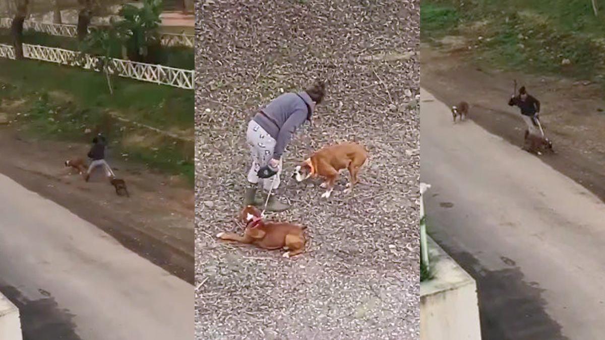 Sokak ortasında vicdanları sızlatan görüntüler