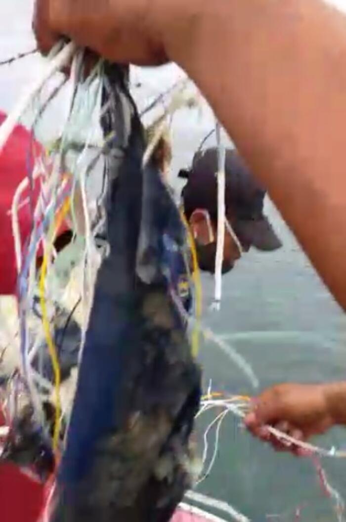 5ff99b2d79da3e01b0ec242c