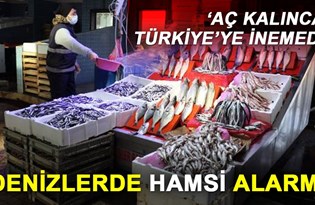 Denizlerde hamsi alarmı: 'Aç kalınca Türkiye'ye inemedi'