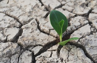 Meteoroloji'den 2020 için kuraklık raporu: Hangi ilde rekor kırıldı, yağışlar ne kadar azaldı?