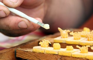 Arı sütünün gramı 8, kilosu 8 bin TL