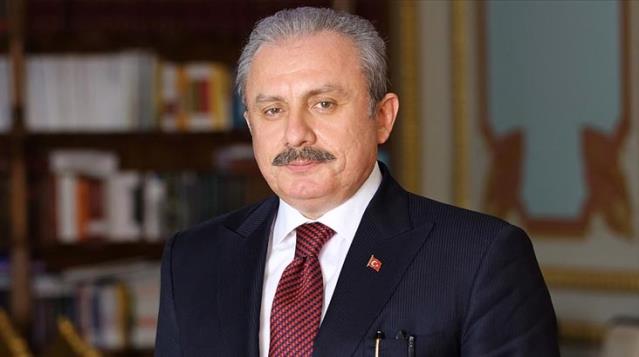 TBMM Başkanı Şentop'tan yeni yıl mesajı: 2020'nin zorluklarının 2021'de geçeceğini ümit ediyorum
