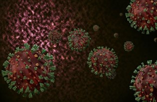 Bilim Kurulu Üyesi Kayıpmaz: Yeni mutasyonla da başa çıkabiliriz