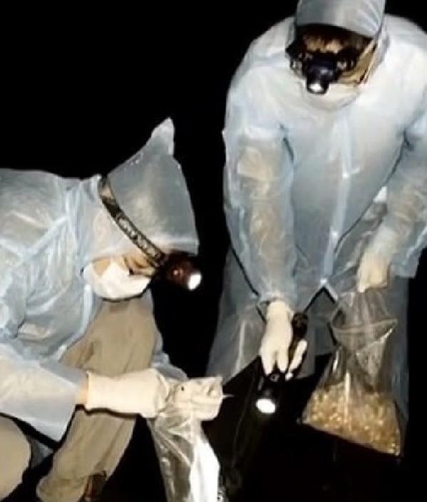 Vuhan'daki bilim insanlarından olay itiraf: Koronavirüs mağaradaki yarasının saldırısından sonra yayıldı