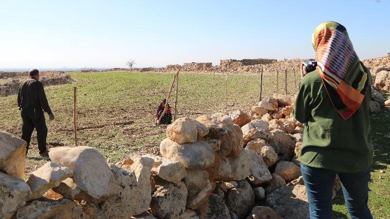 Doktora tezi için 8 aydır göçerlerle birlikte yaylada yaşıyor