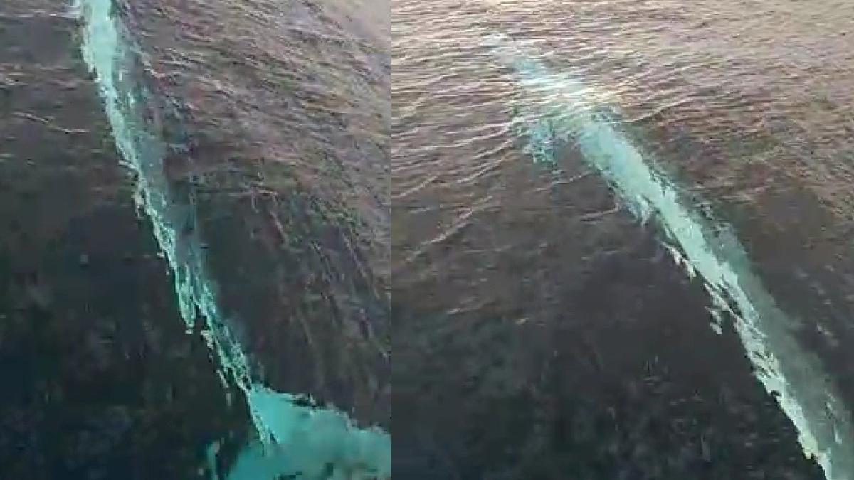 Adana'da ortaya çıktı! Gözlerine inanamadılar