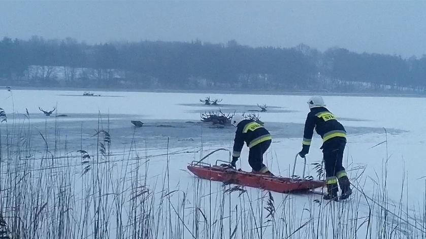 Avcılardan kaçan geyik sürüsü göle düşüp öldü