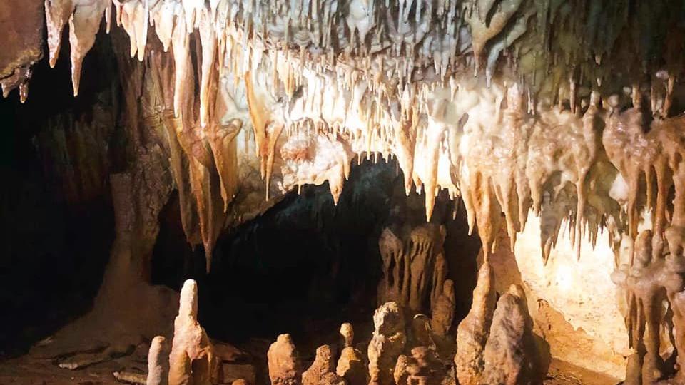 Küre Dağları Milli Parkı'nda 5 mağara keşfedildi