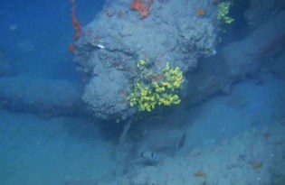 Foça açıklarında savaş gemisi batığı bulundu