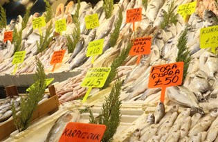 Hamsiye gelen av yasağı tüm balıkları etkiledi