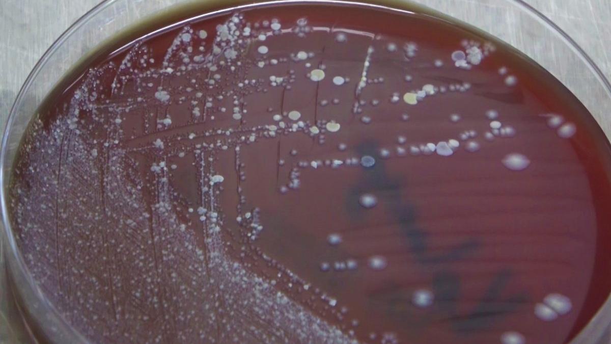 Yıkanan veya kolonya sıkılan maskede korkutan sonuç