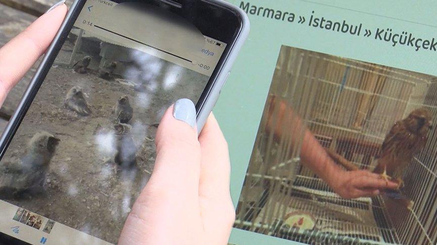 Yaban hayvanlarını internette satıyorlar!