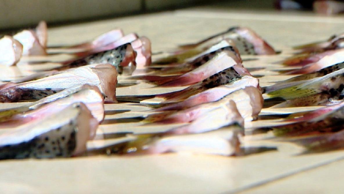 Antalyalı balıkçılar balon balığının kuyruğundan 180 bin TL kazandı