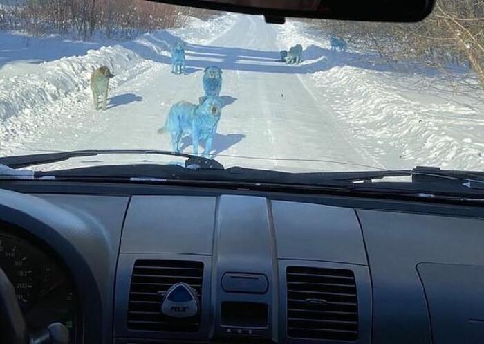 60264e30bf21440d347bfe5e