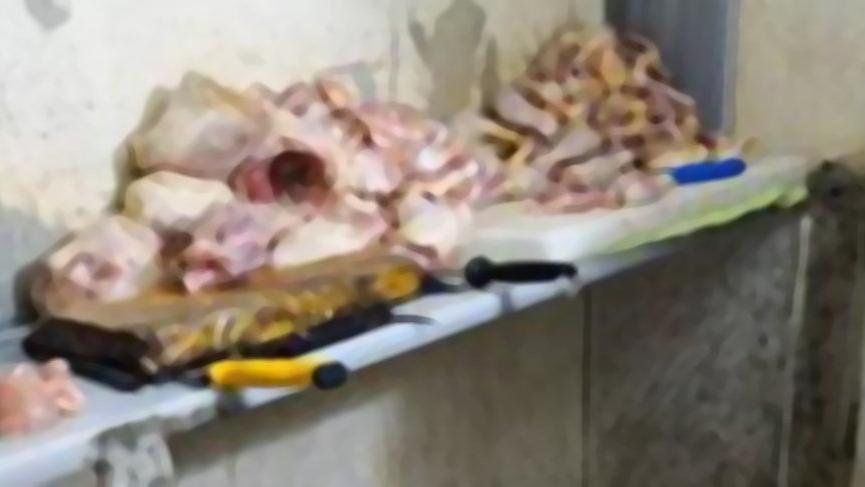 Görüntüler mide bulandırdı! 4 işletmeye 111 bin TL ceza